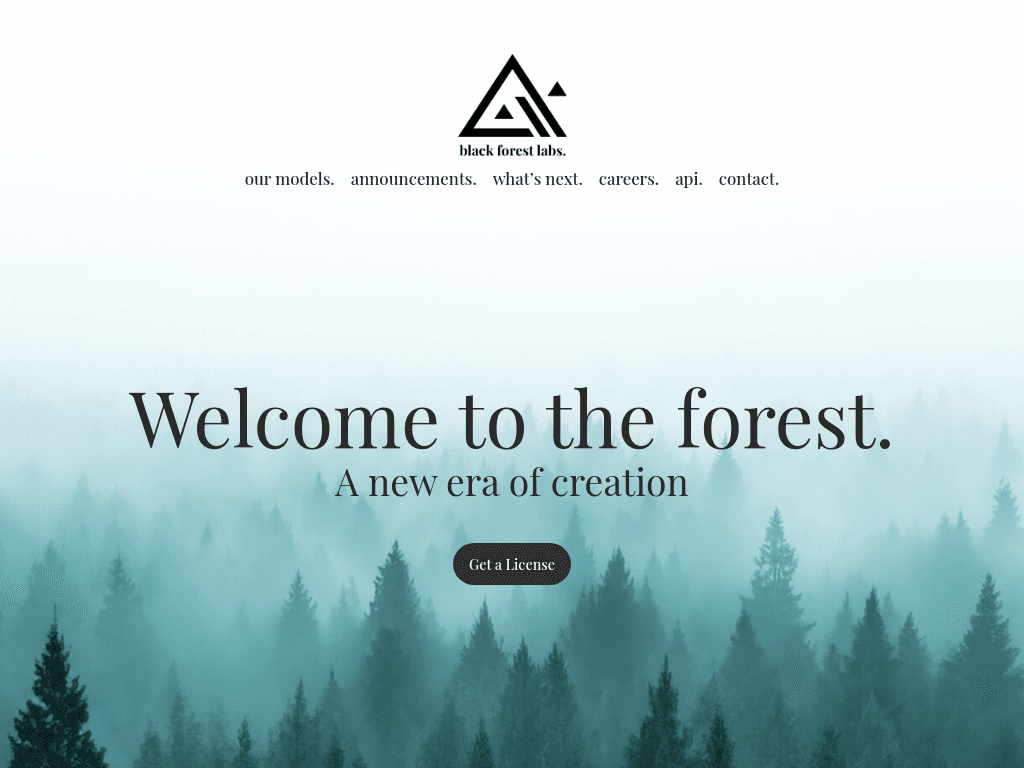 Black Forest Labs screenshot