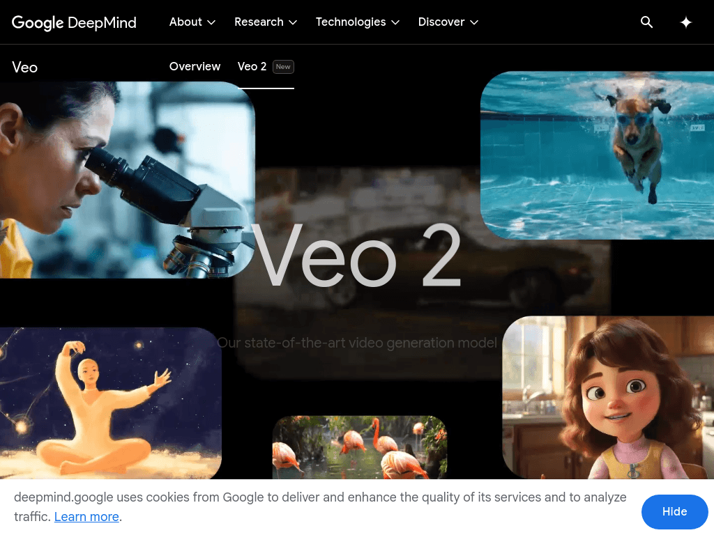 Veo 2 screenshot