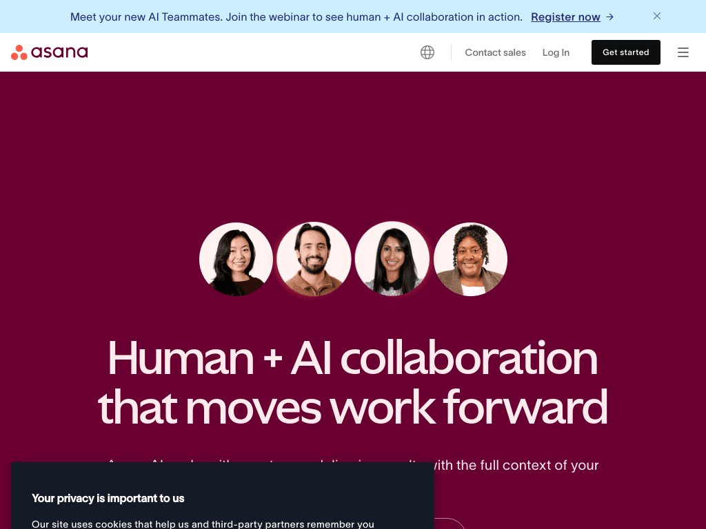 Asana AI screenshot