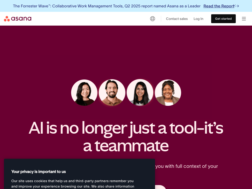 Asana AI screenshot 1